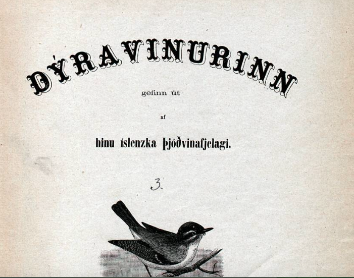 Auglýsing í dagblaði frá 1880 týndur rakki