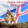 Dagskrá í Þjóðminjasafninu á Degi íslenska fjárhundsins 18. júlí